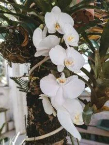 Processed with VSCO with j2 preset