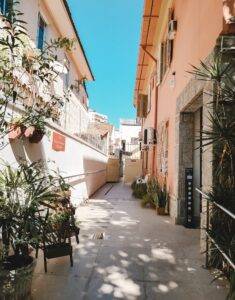 Processed with VSCO with j2 preset